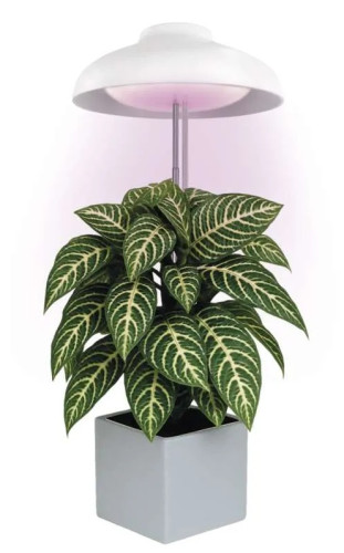 EMOS Z7901 LAMPA LED DESTNIK GROW pěstební 5 W, časovač