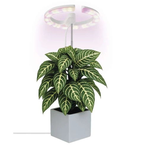 EMOS Z7902 LED GROW pěstební lampa 8 W, časovač, stmívatelná